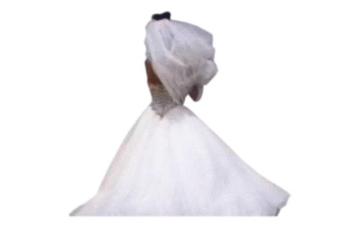 Woman wearing a voluminous white dress with a white veil covering her head.