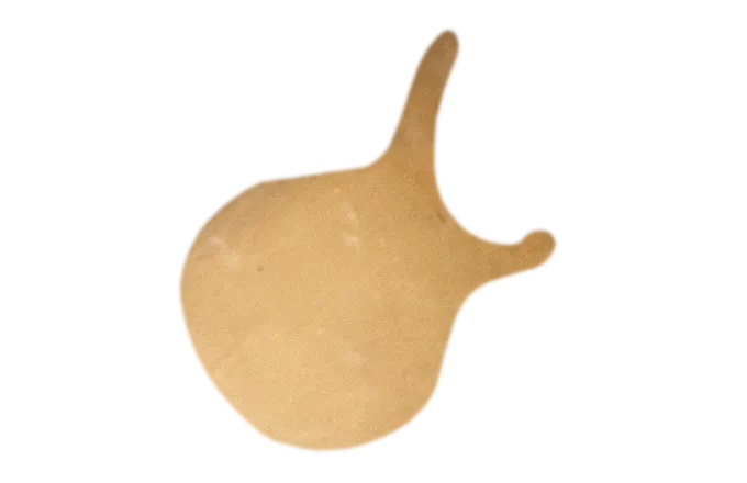 Uncooked flatbread dough rolled out with two extended handles on a black background.