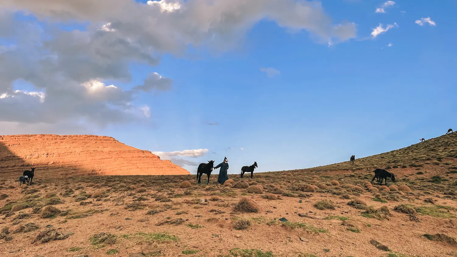 Berger avec ânes dans la vallée rocailleuse du Haut Atlas marocain