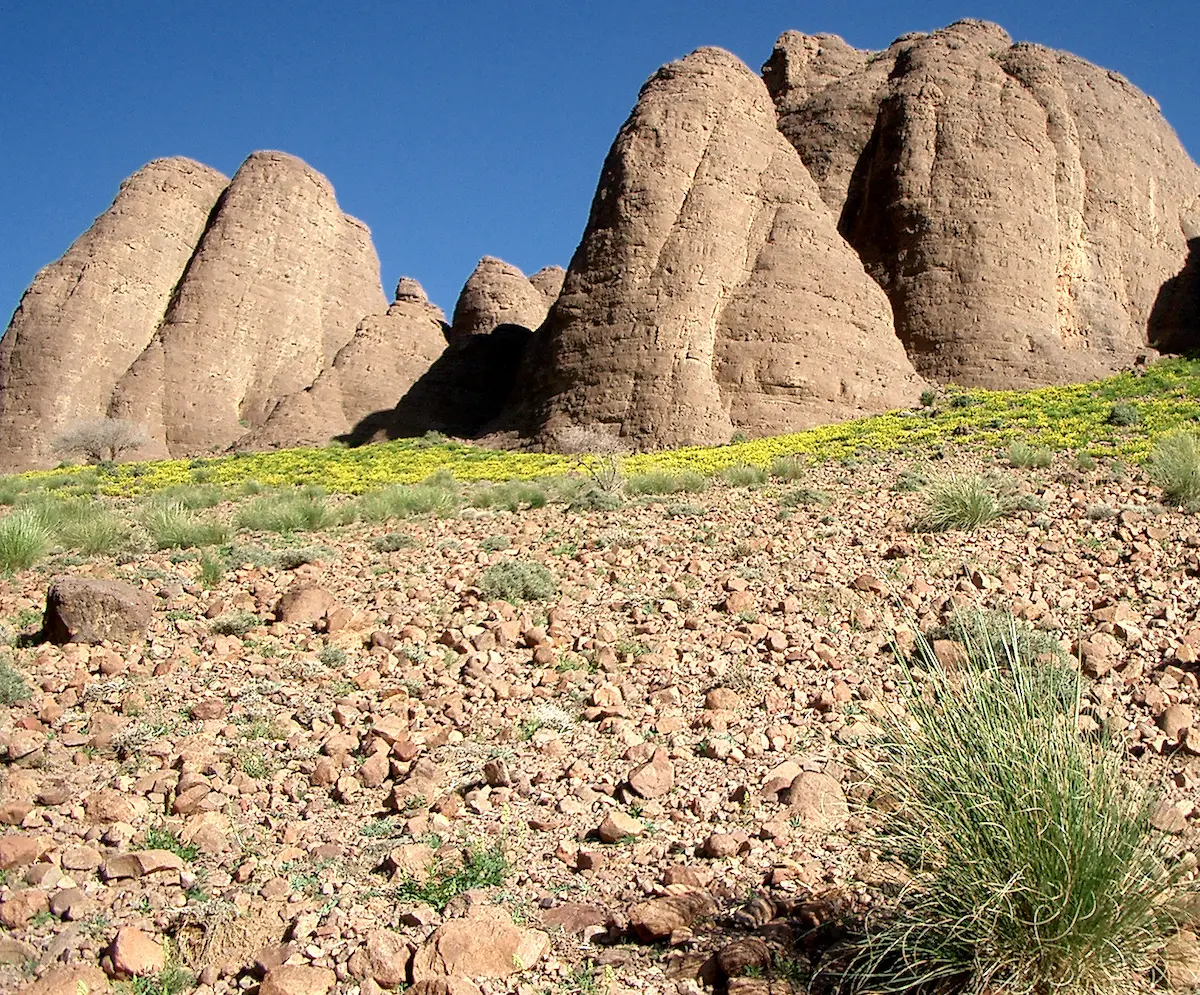 Rochers massifs de l'Atlas marocain avec végétation jaune et verte
