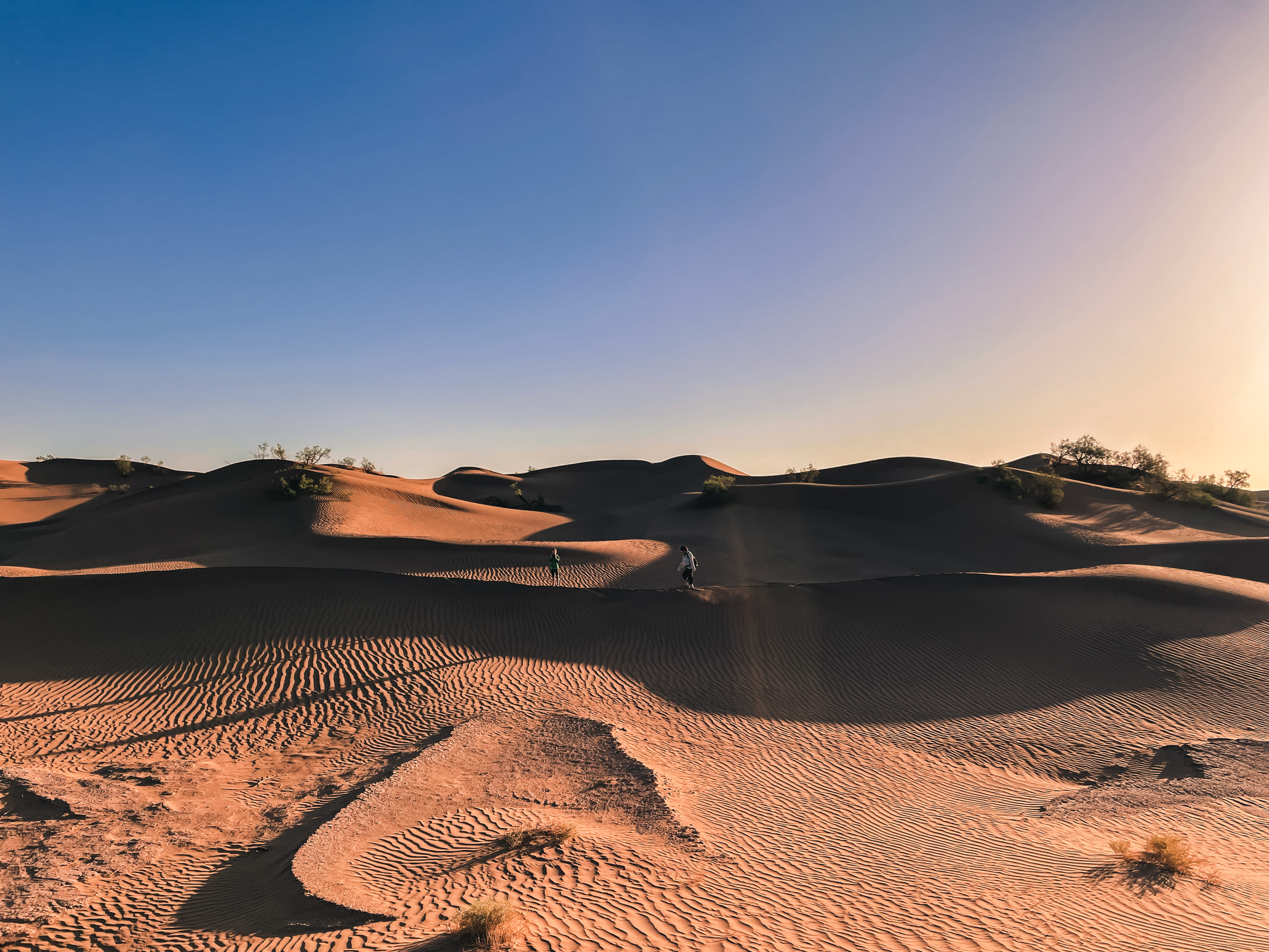 Dunes ondulantes du désert marocain au coucher du soleil avec silhouettes