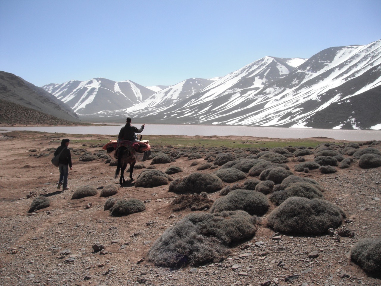 Randonneurs dans l'Atlas marocain, paysage montagneux enneigé avec rochers moussu