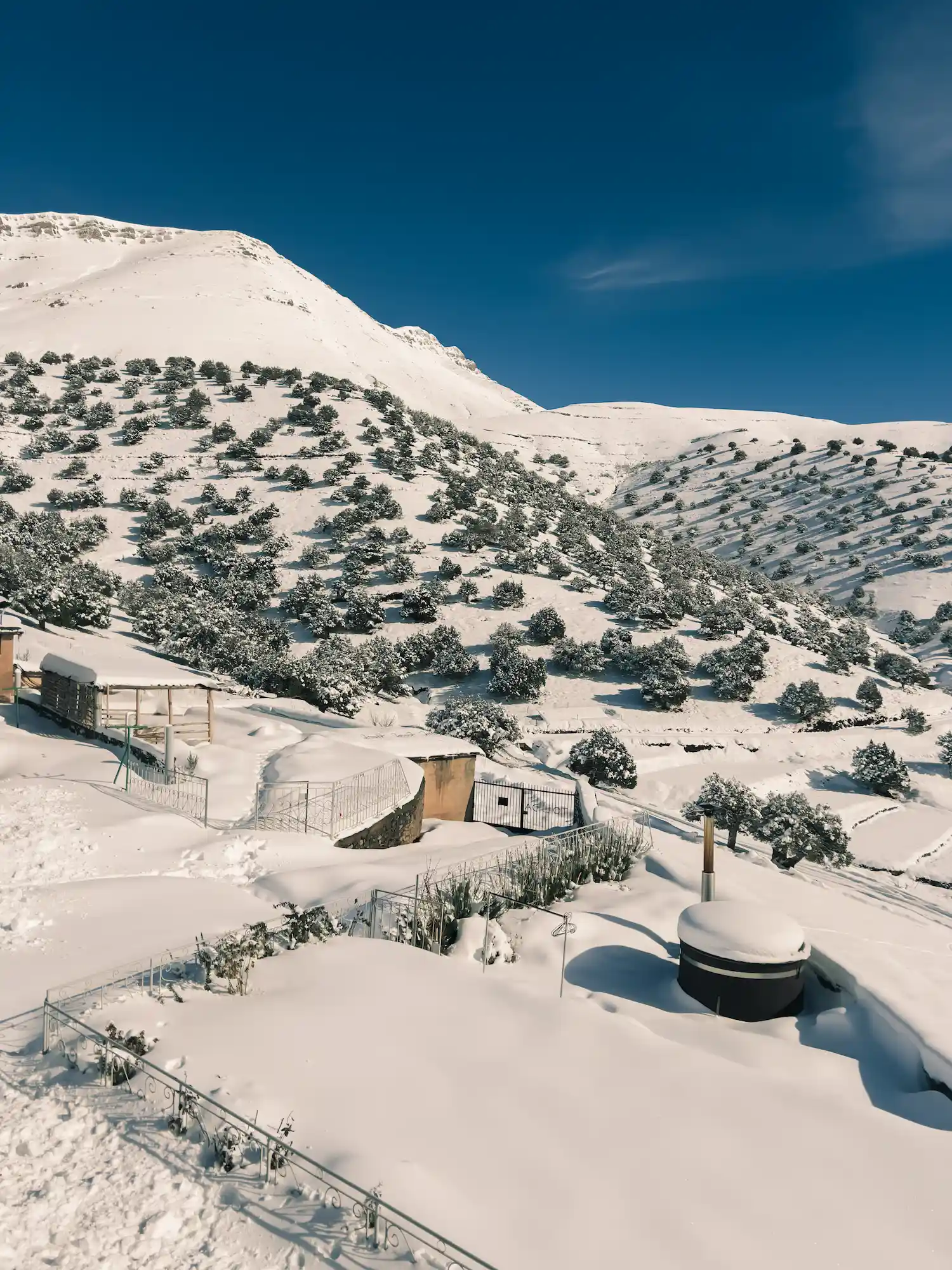 Paysage enneigé de l'Atlas marocain avec arbres et infrastructures isolées