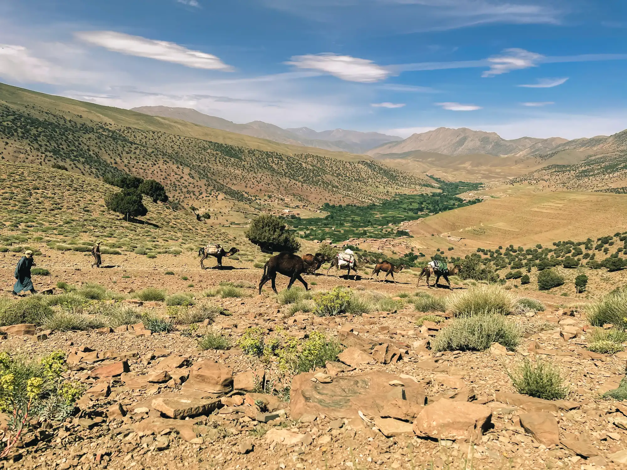 Caravane de chameaux traversant un paysage rocheux dans le Haut Atlas marocain