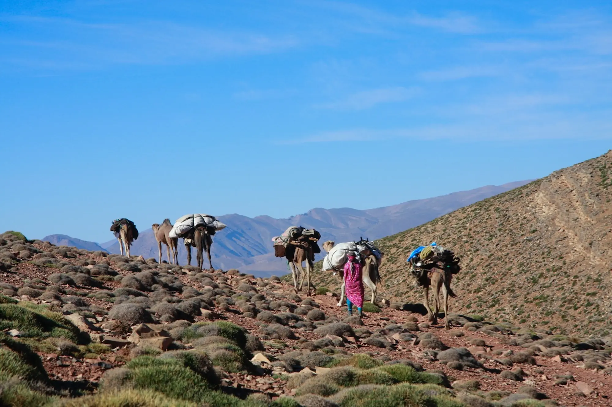 Caravane de dromadaires gravissant un col du Haut Atlas pendant la transhumance des Aït Atta