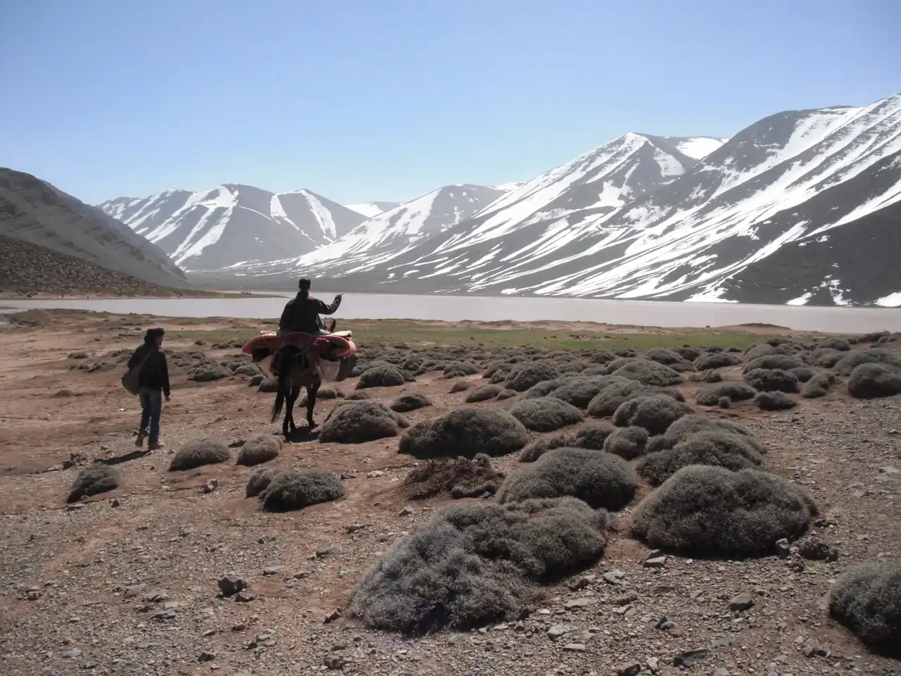 Homme à dos de mule et enfant marchant près d'un lac de montagne, sous des sommets enneigés du Haut Atlas marocain