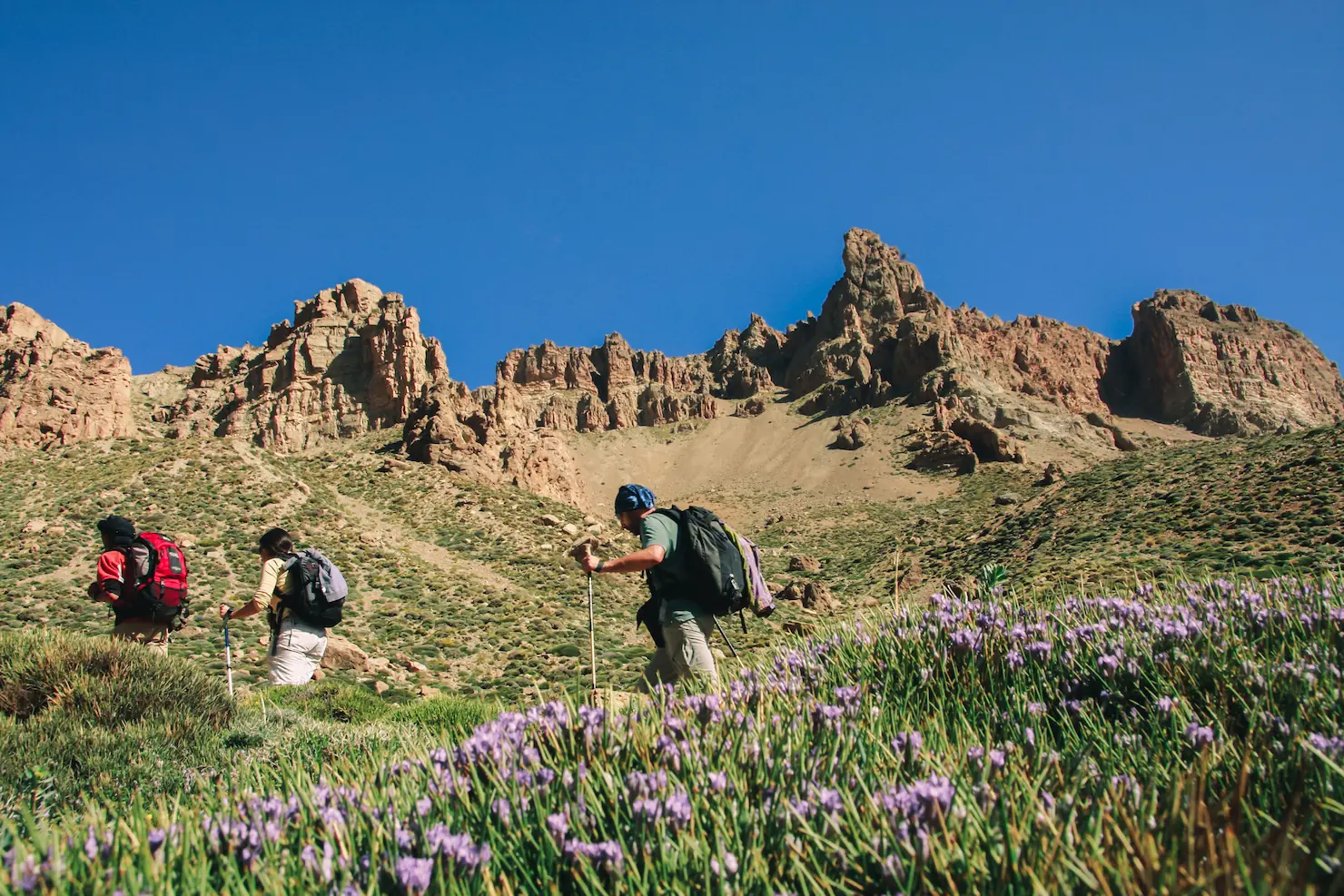 Hikers walking with trekking poles through wild purple flowers in the M'Goun mountains near Touda Ecolodge.