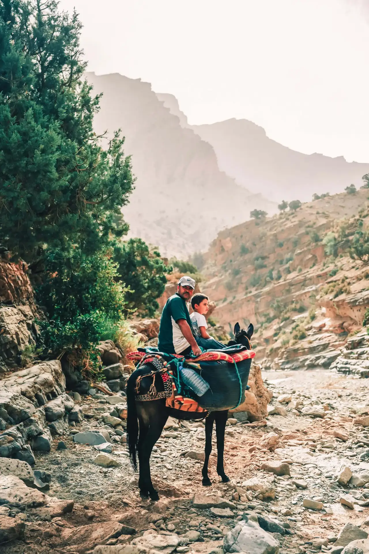 Father and young son riding a pack mule along a mountain trail during a family trek with Touda Ecolodge.
