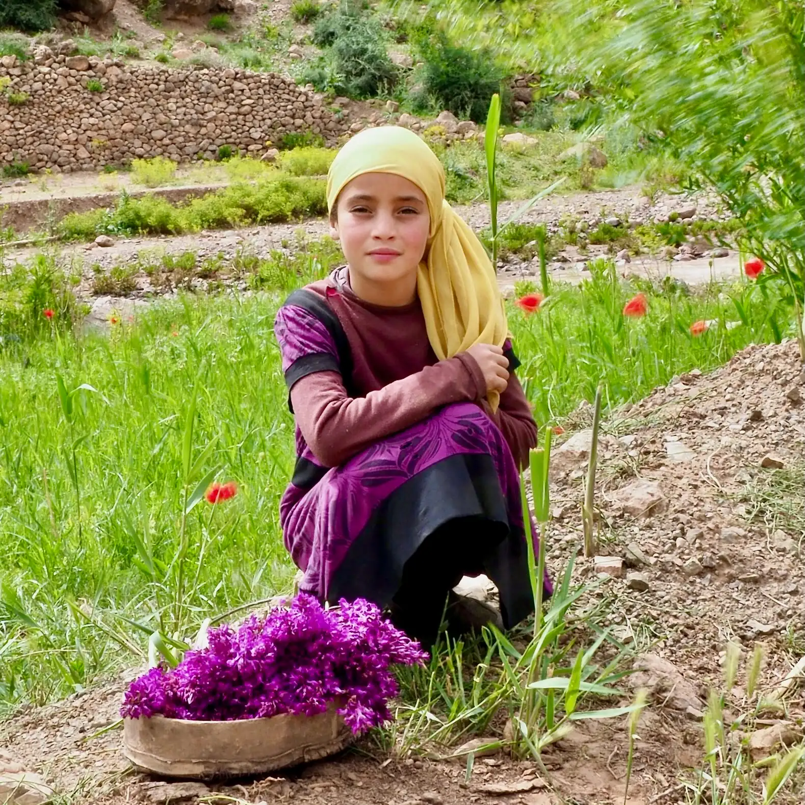 Young Amazigh girl with a yellow headscarf and a basket of purple flowers in the Aït Bouguemez Valley
