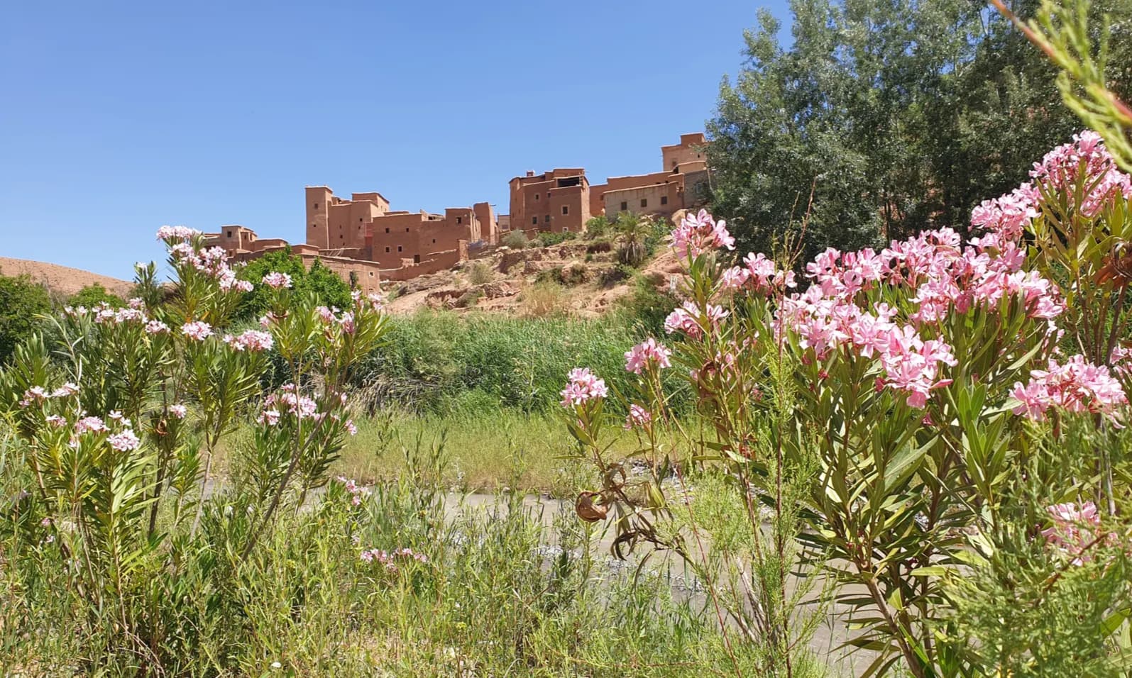 Familientrekking in Marokko, Lehmkasbahs und rosa Oleander am Fluss nahe Touda Ecolodge