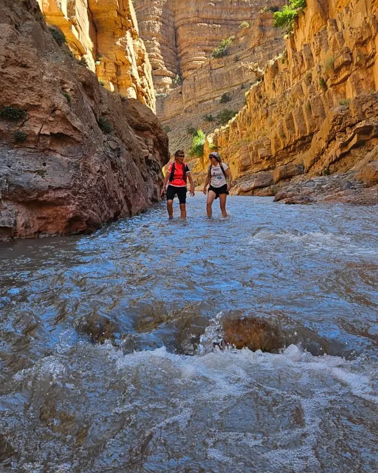Hikers walking through the river between the canyon walls of the M’Goun gorges