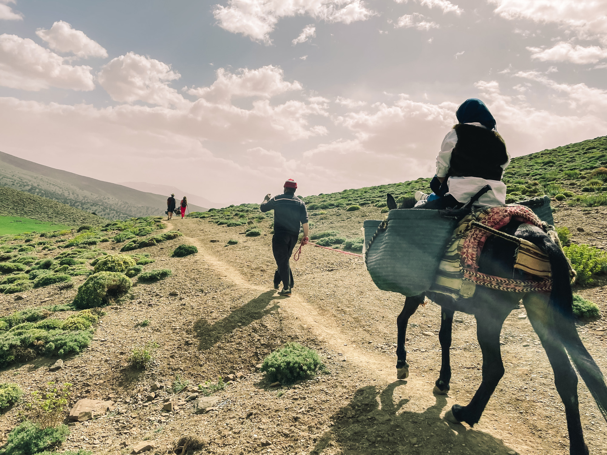 Hikers and a loaded mule on a mountain trail near Touda in the Aït Bougmez valley