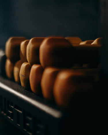 The Premier Gym in Johnstown, PA