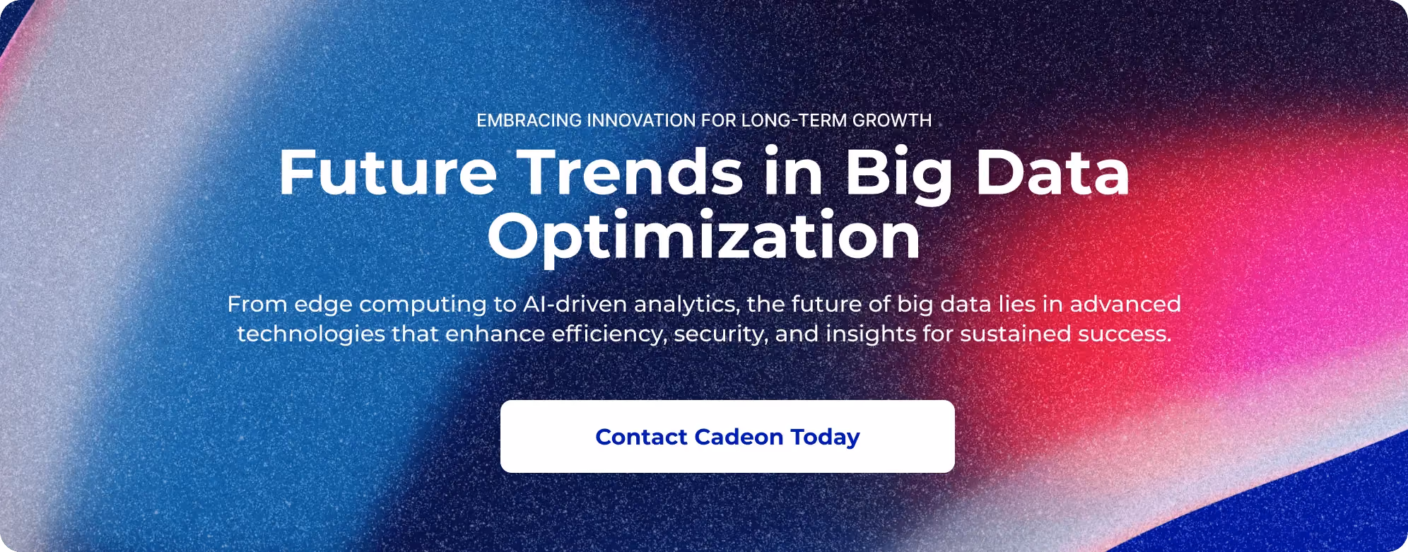 Optimizing Big Data for Business Value