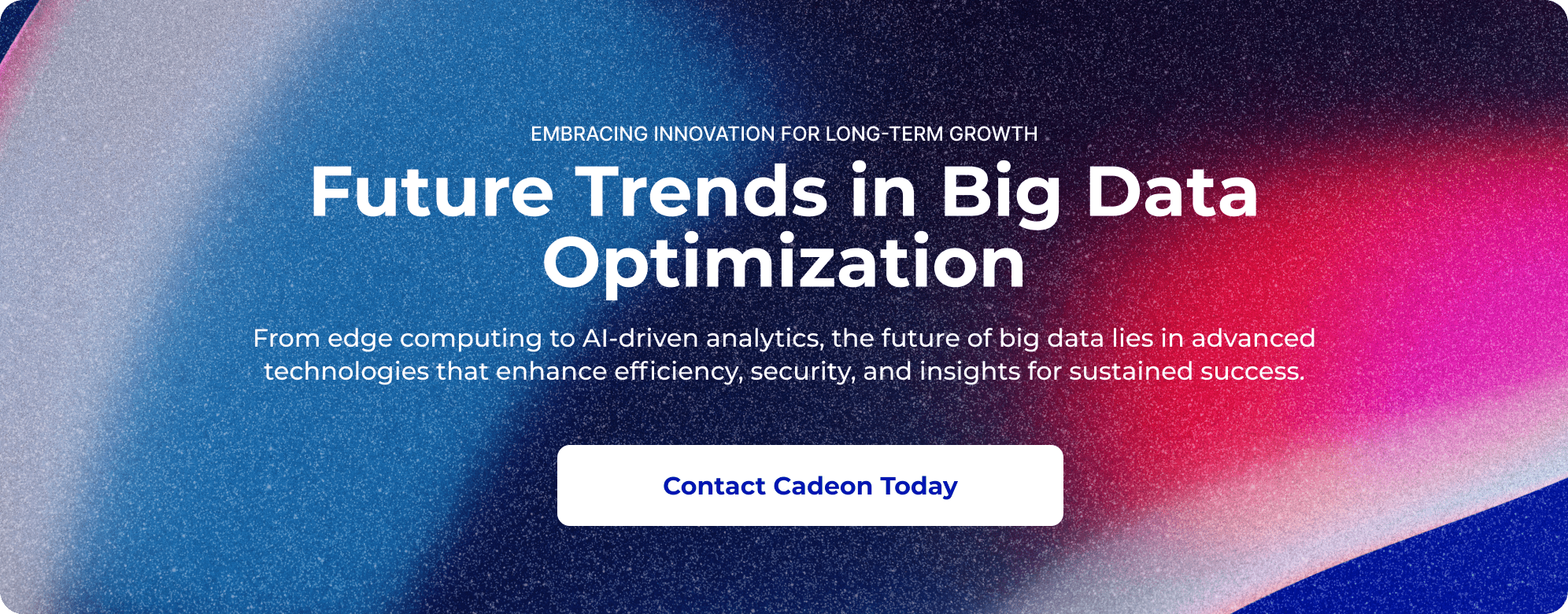 Optimizing Big Data for Business Value