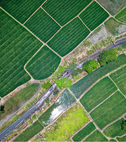 Bridging the Ecosystem Gap