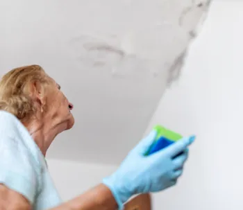 water stain and mold