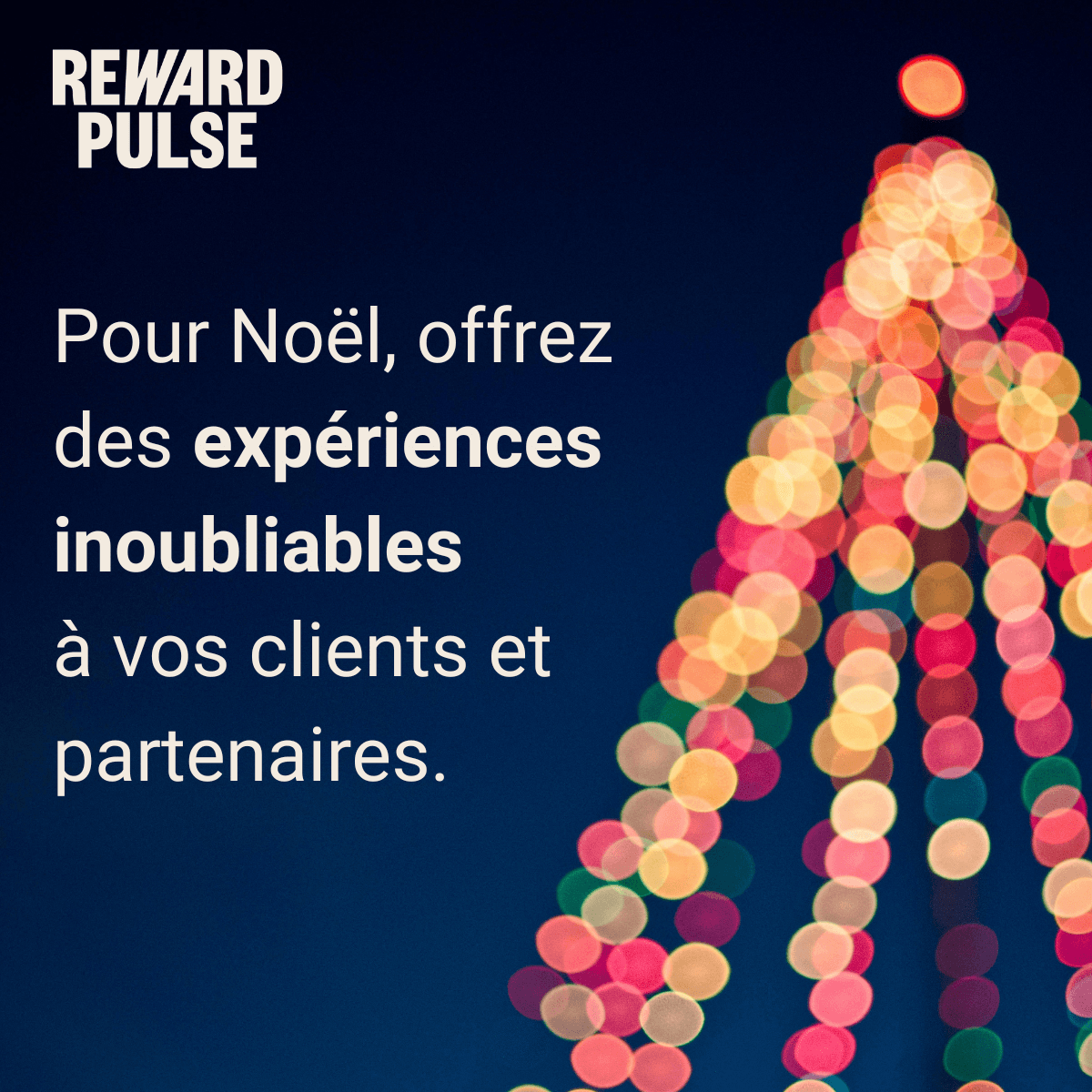 Pour Noël, offrez des expériences inoubliables à vos clients et partenaires.
