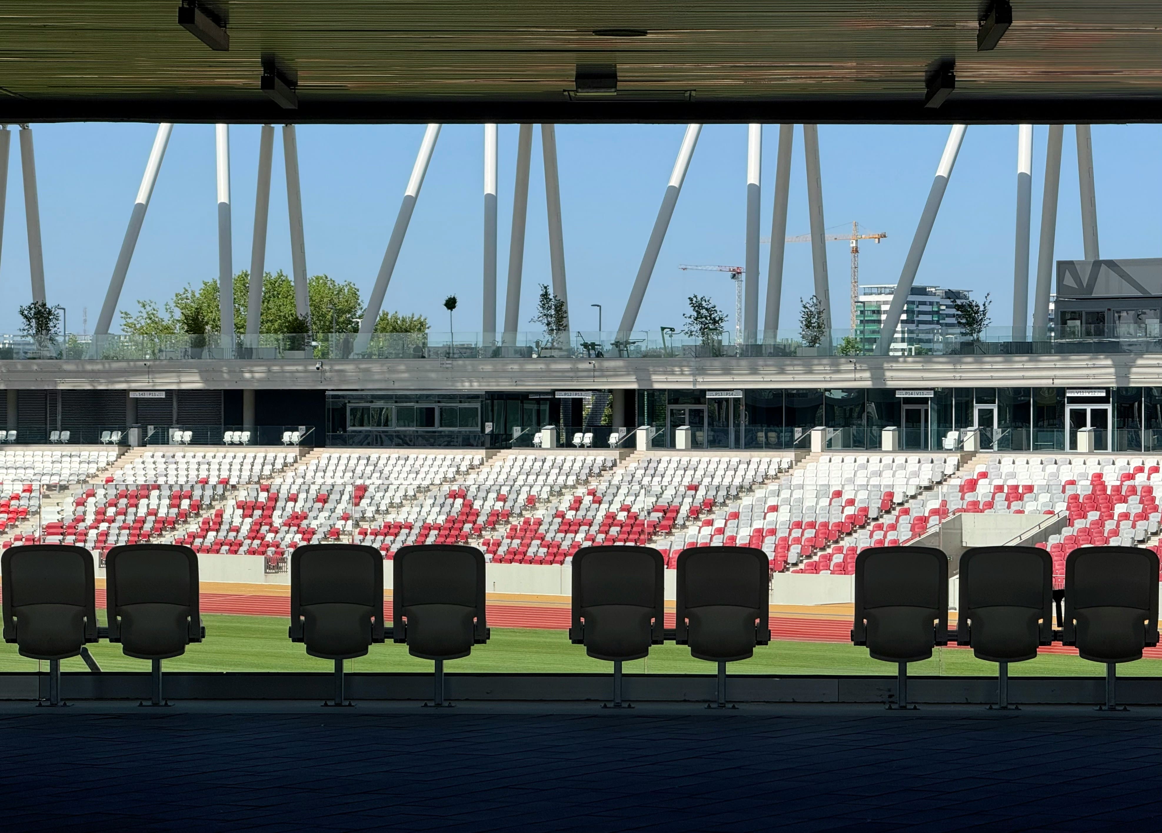 Cuban athlete holding up a Cuban flag in celebration