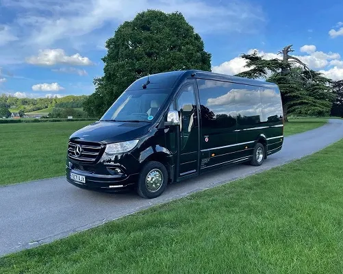 Black Mercedes-Benz van parked on a paved path surrounded by green grass and trees under a partly cloudy blue sky.