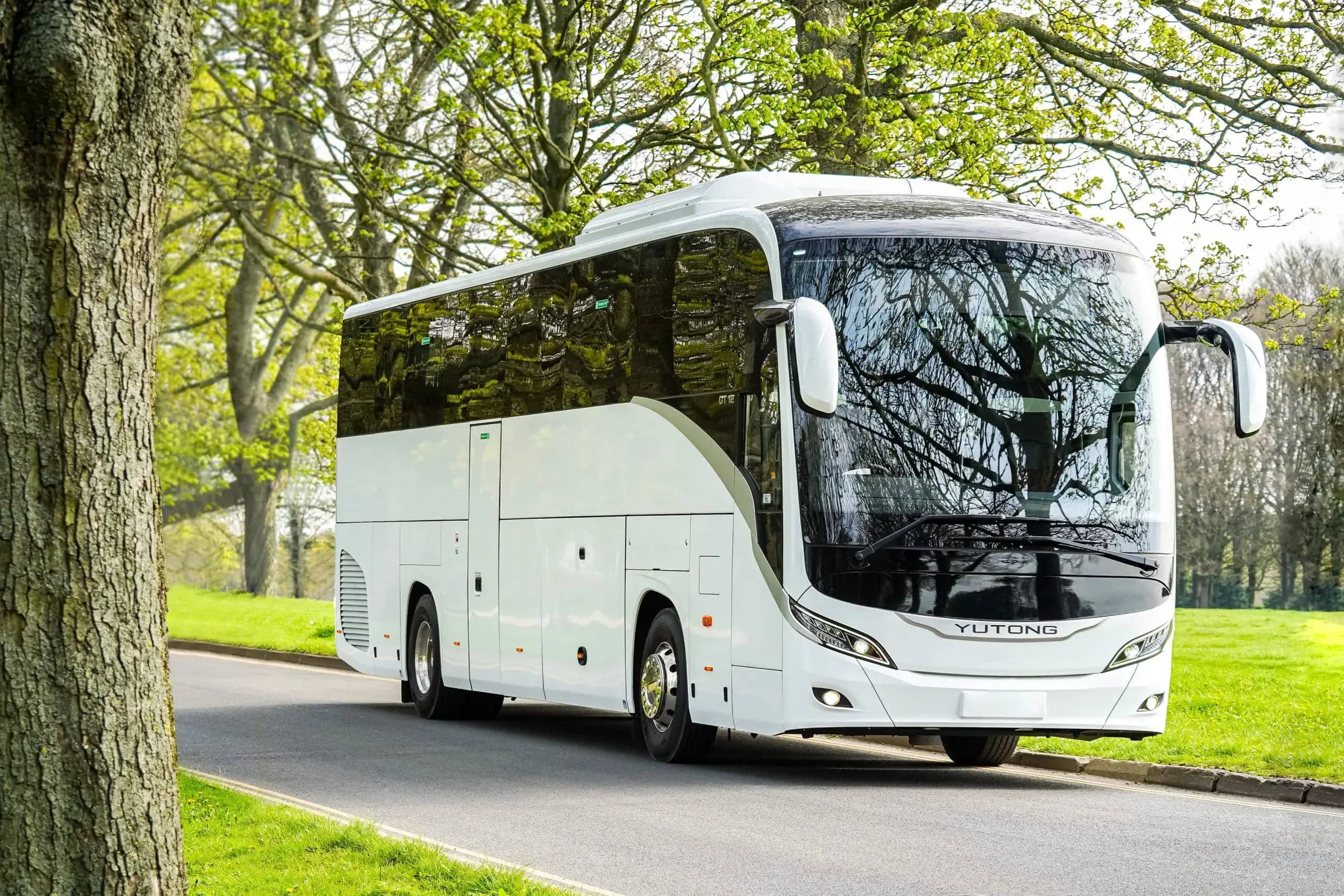 White Yutong coach bus parked on a road beside a tree and grassy area with green-leafed trees in the background.