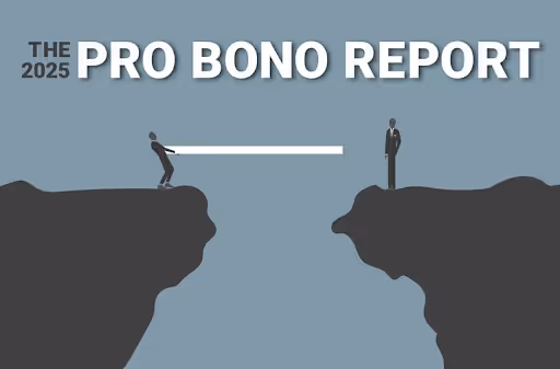 Cover image of the Pro Bono Survey