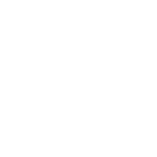 Logo with crossed brooms and bucket, encircled by text 'RIGHT WAY CARPET CLEANING'.