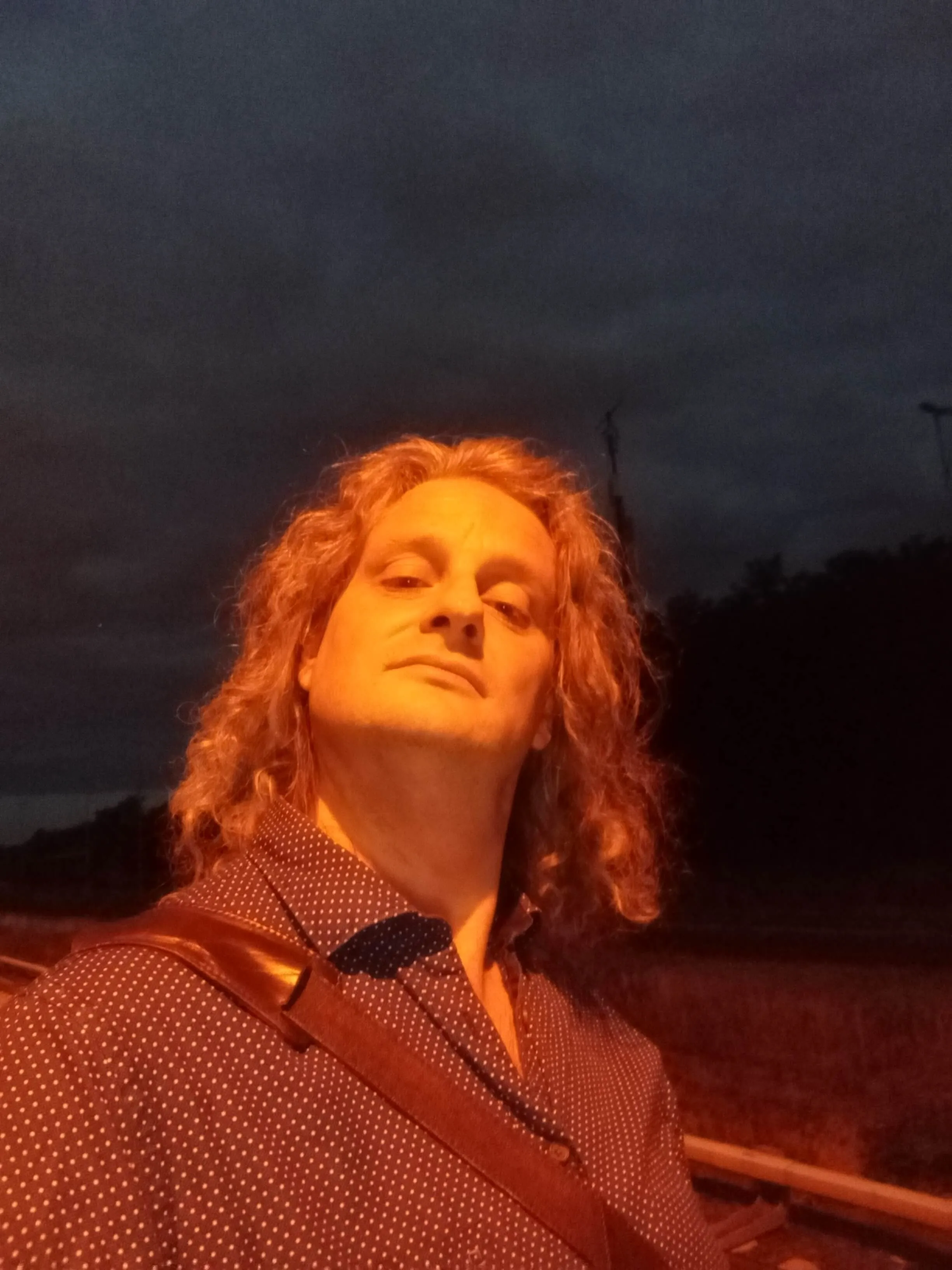 Porträtfoto von Fabian Herrmann, es ist dunkel, er wird von einer Straßenlaterne von oben beleuchtet, er schaut mit gehobenem Kopf in die Kamera und trägt ein dunkelblaues Hemd mit weißen Punkten, er hat schulterlange, gewellte Haare.