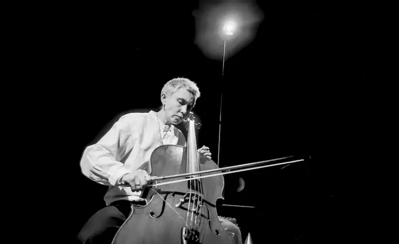 Portrait der Musikerin mit Instrument