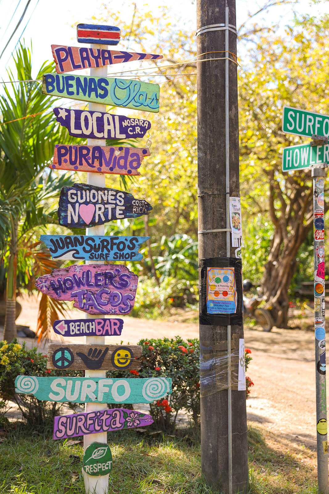 Colorful wooden directional signs with beach and surf shop names mounted on a post near tropical plants and a utility pole.