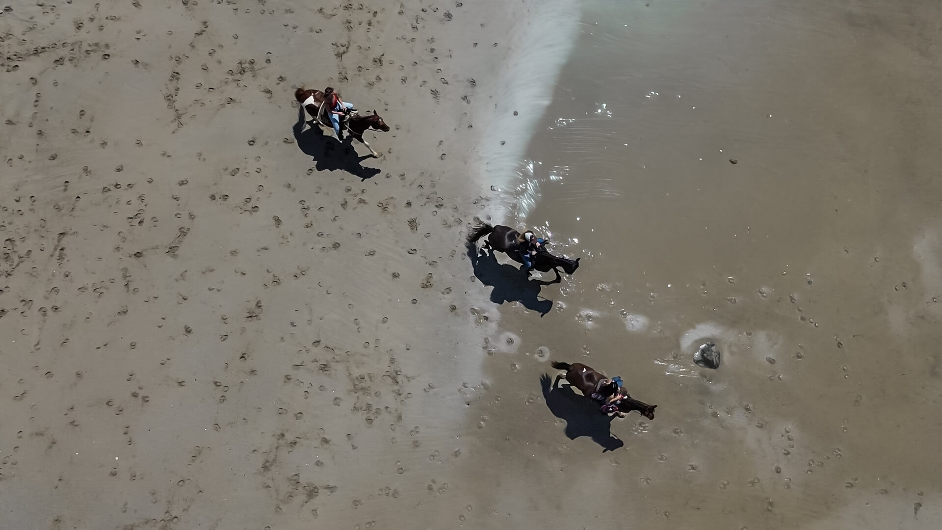 Aerial view of three people riding horses on a sandy beach near the ocean shoreline.