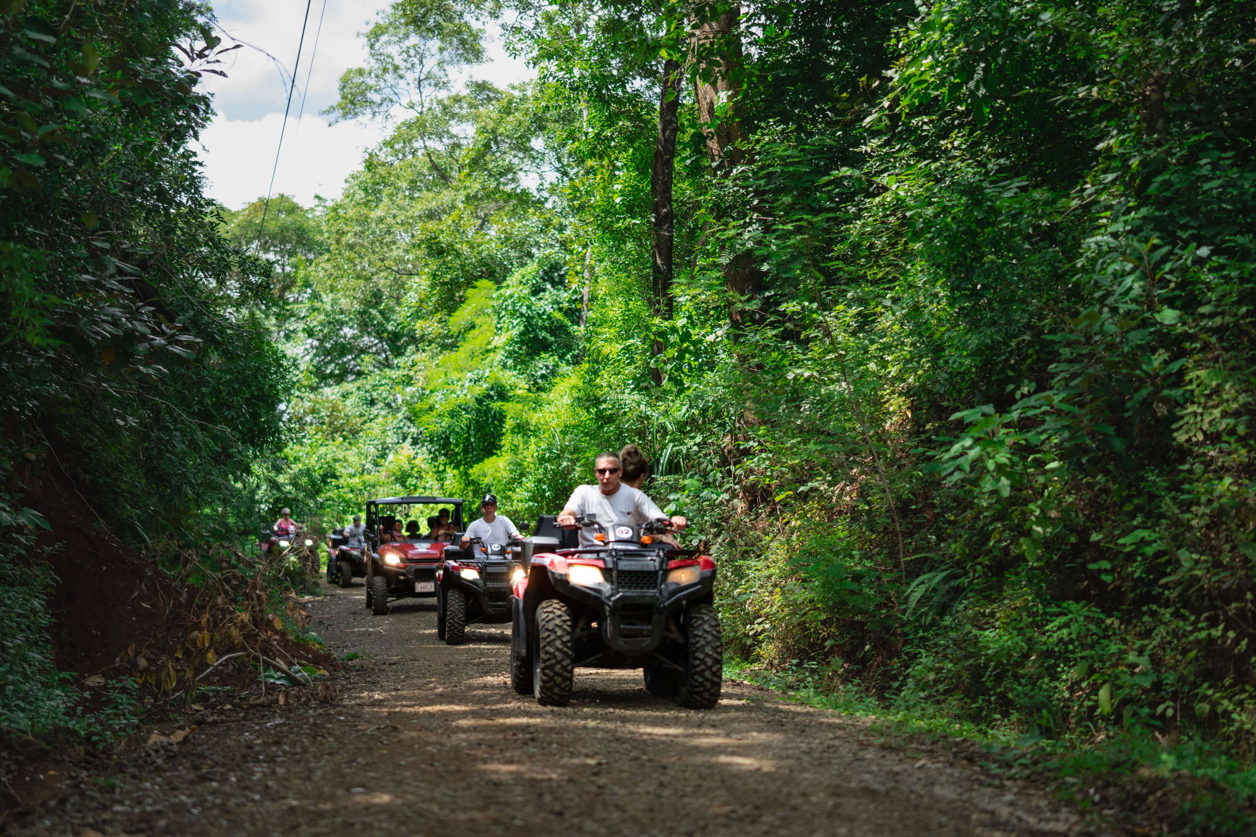 Group of people riding red ATVs and utility vehicles on a dirt trail through dense green forest.