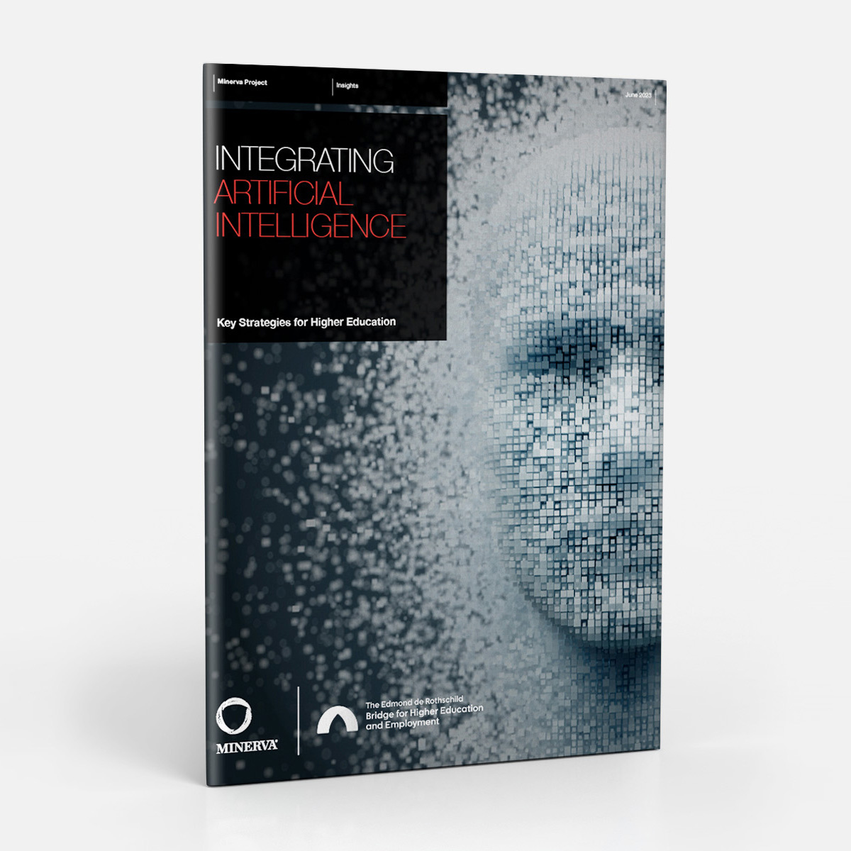 Integrating Artificial Intelligence