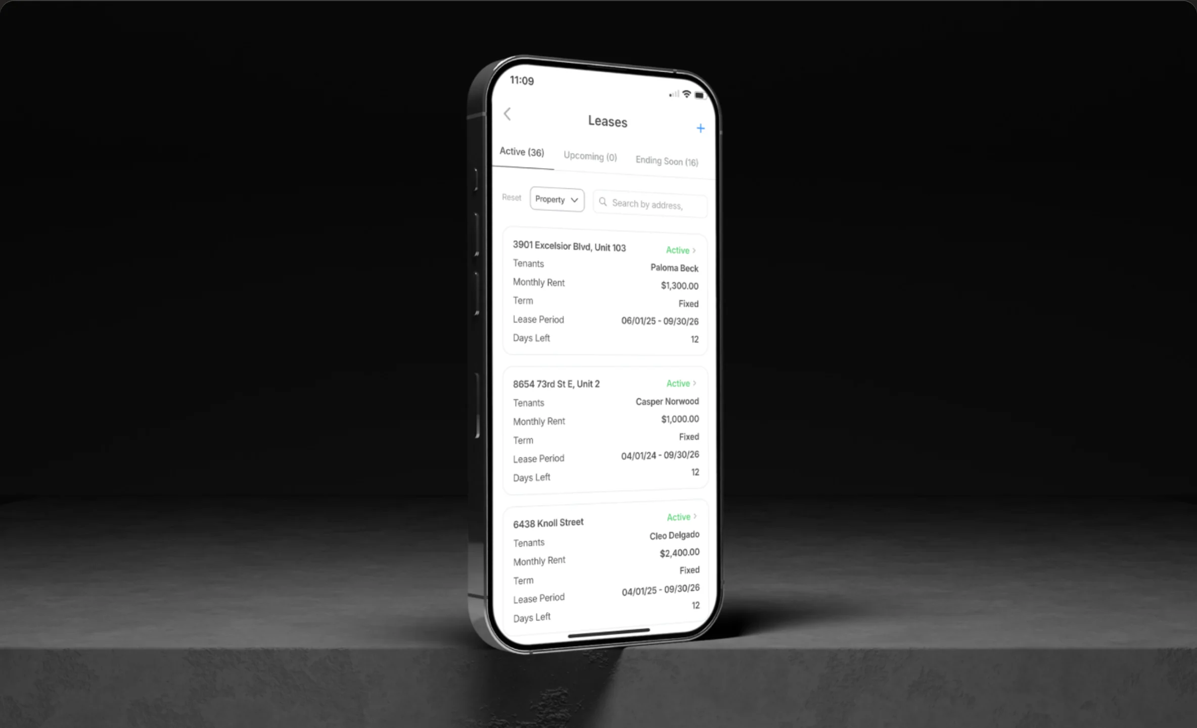 Portfolio view showing every active lease with status, rent, and renewal date