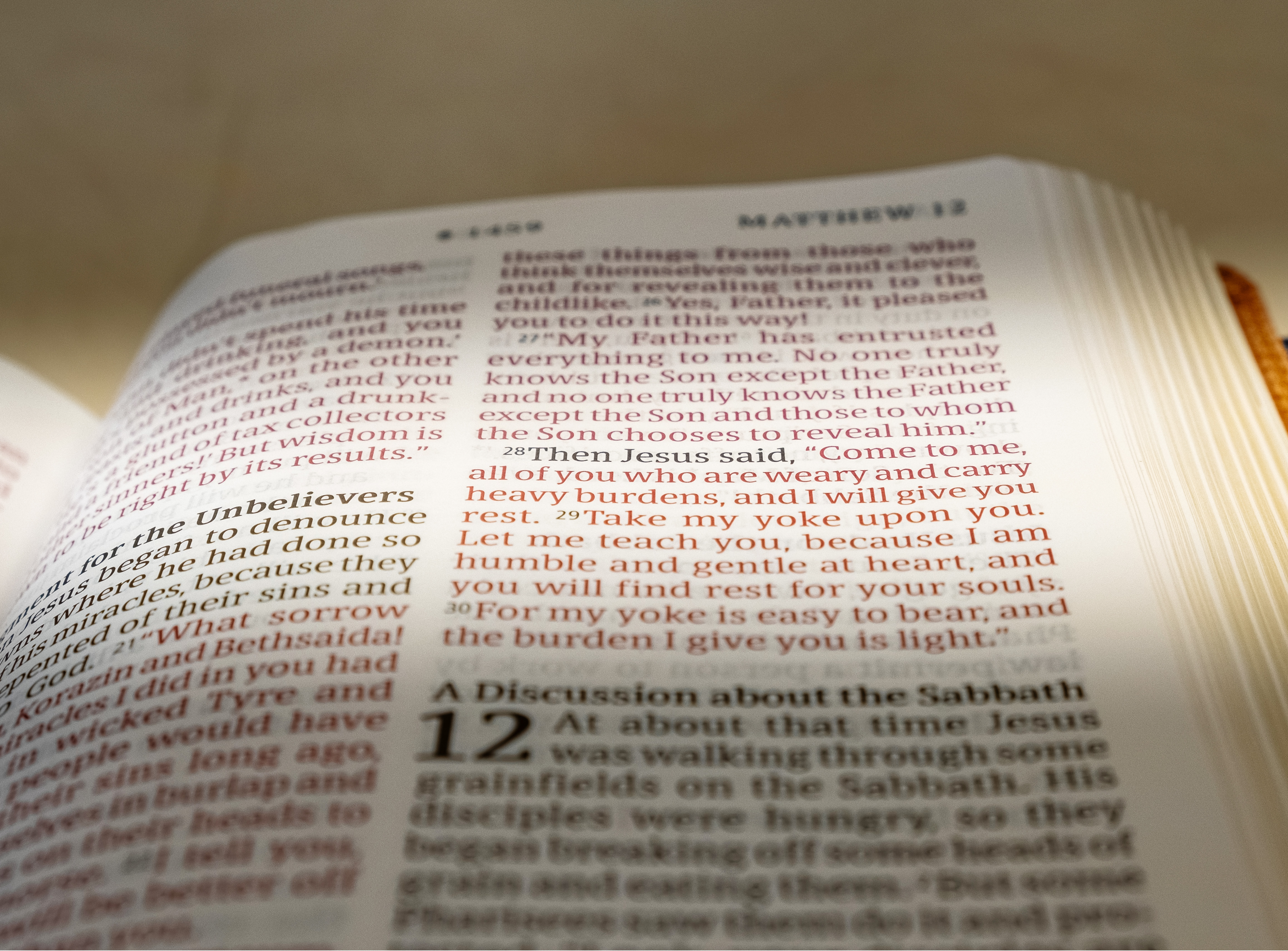 highlighted passages from the book of Matthew