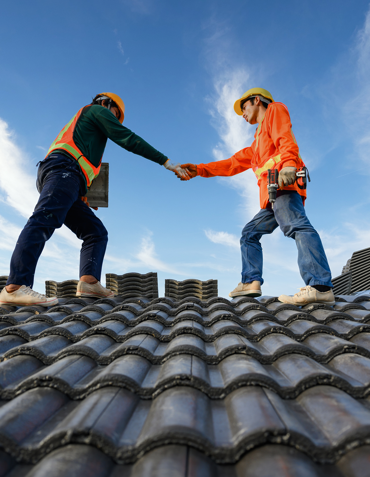 Project Gallery Image