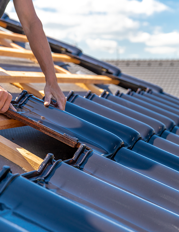 Project Gallery Image