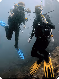 Two scuba divers underwater wearing wetsuits, snorkel masks, and fins, one with blue fins and the other with yellow fins.
