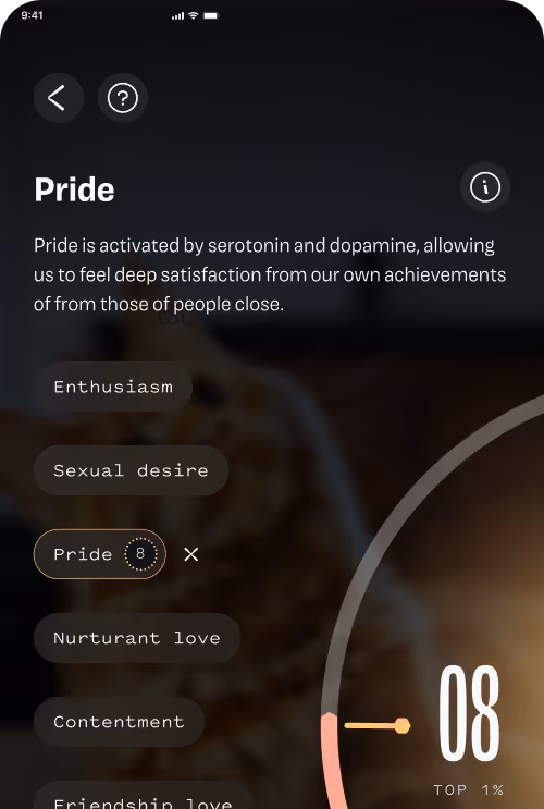Mobile screen explaining pride as satisfaction from achievements, with a meter showing pride level at 8.