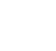 The New York Times logo.