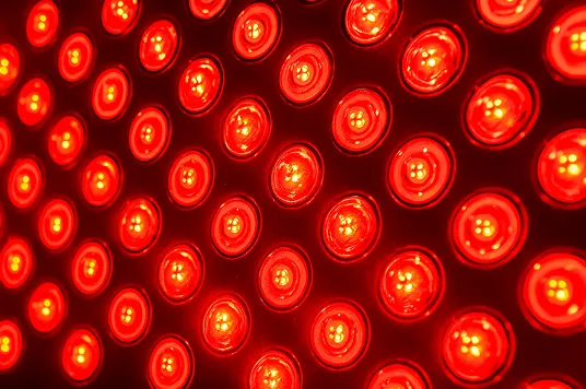 Close-up of densely packed red LEDs glowing on a red light therapy array