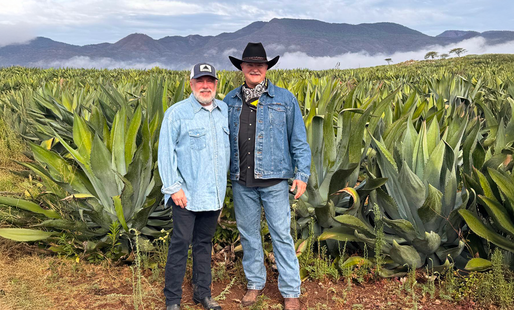 Agave Fields Raicilla KGD Group El Acabo