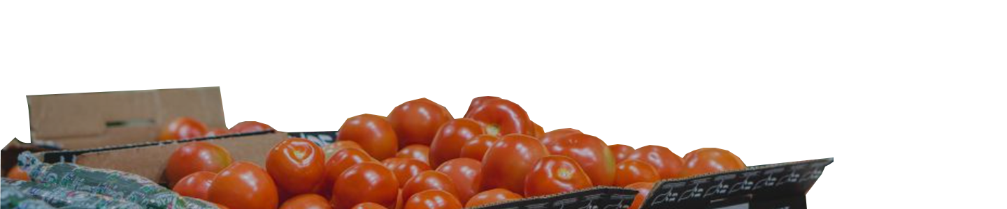 Cardboard box filled with ripe, red tomatoes.