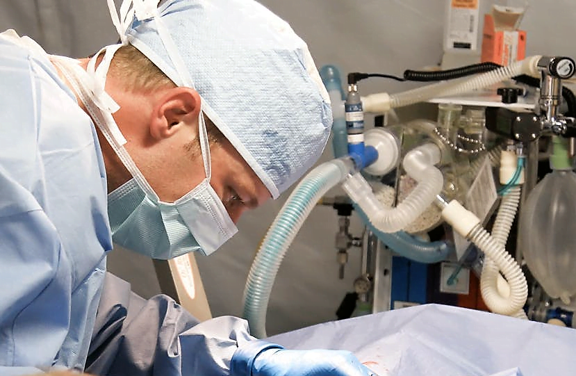 Mercado Odontológico