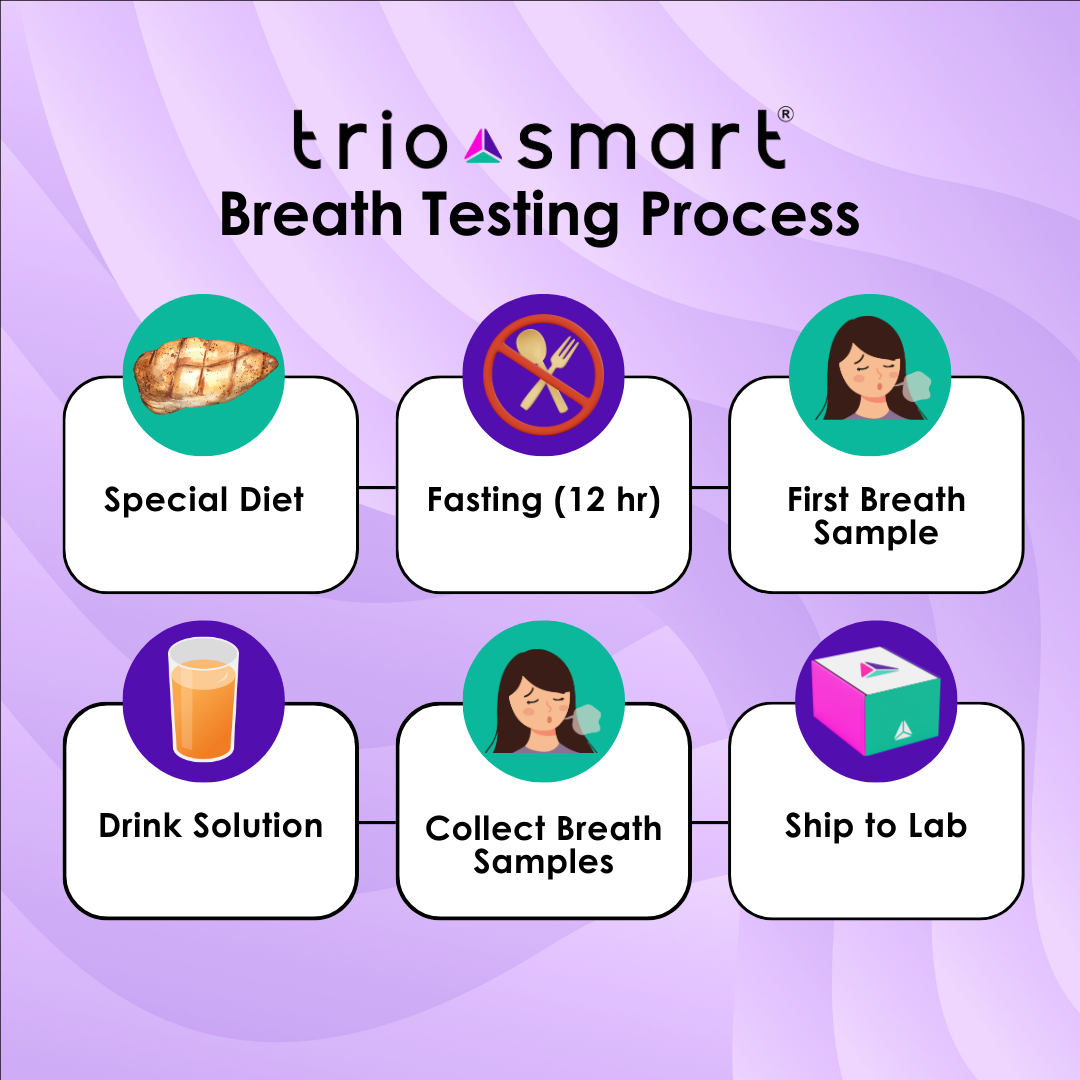 Breath testing process infographic