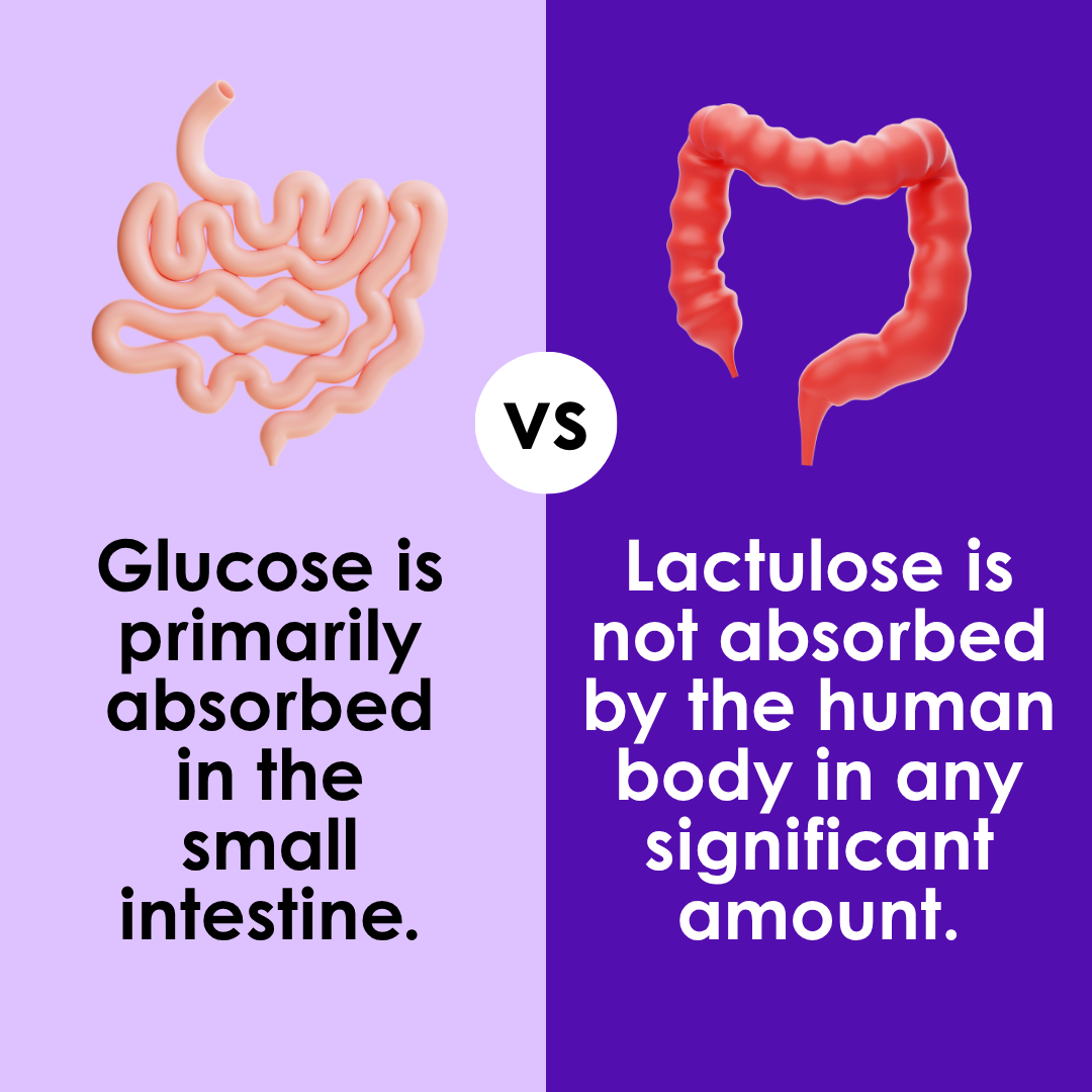 Glucose vs lactulose infographic