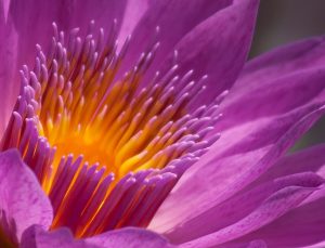 spiritual transformative experience