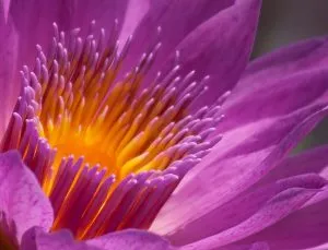 spiritual transformative experience