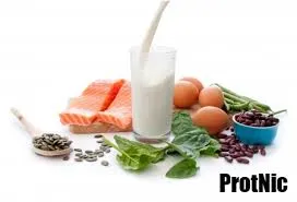 adding more protein to my diet