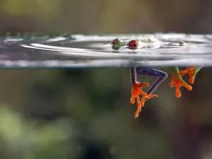 can I use antidepressants while pregnant